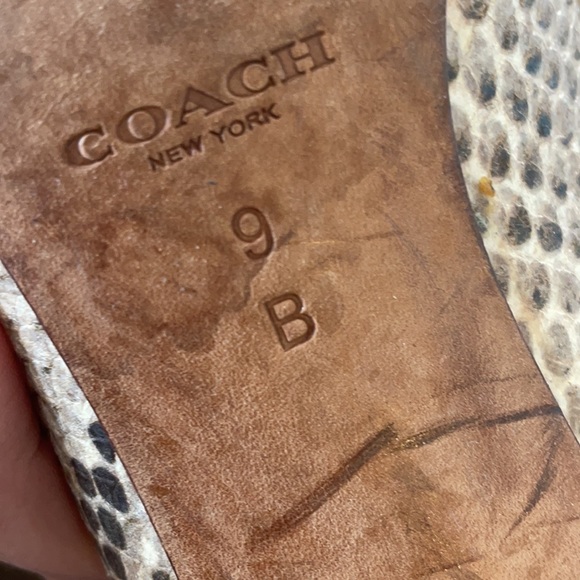 Coach low heel shoes - Picture 7 of 7